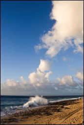 080314-NC09595-m.jpg